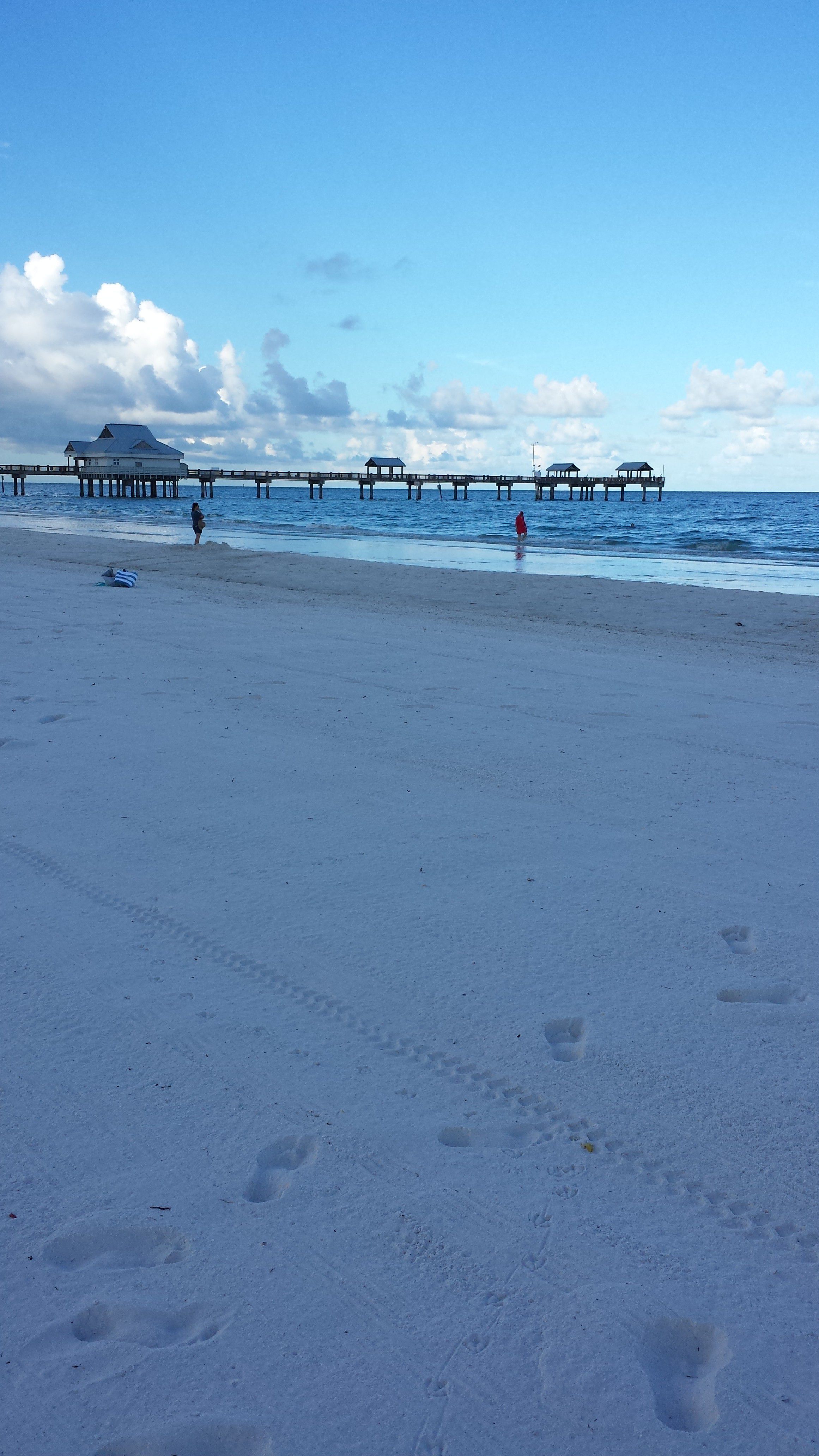 Clearwater Beach Wedding In The Morning