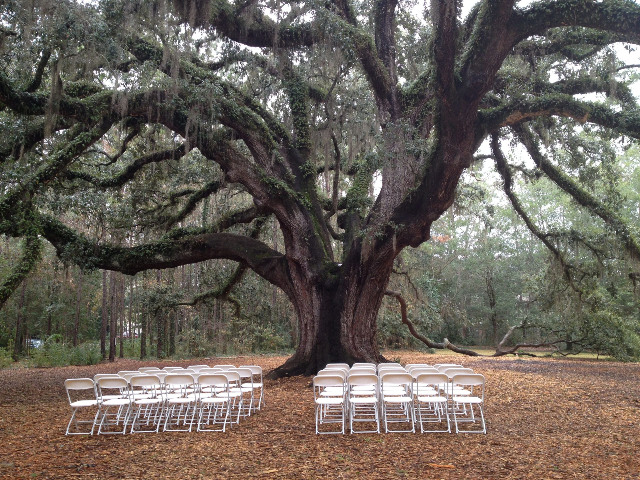 outdoor wedding in Tallahassee