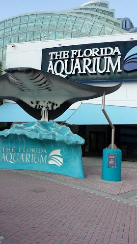 Tampa Florida Aquarium Wedding