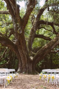 tallahassee weddings by A Beautiful Wedding in Florida