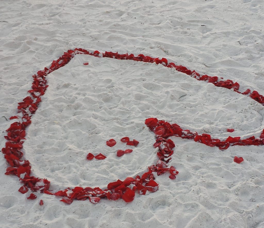 This is the rose petal heart in the sand I made for Jodi and Joe surprise vow renewal on Clearwater beach