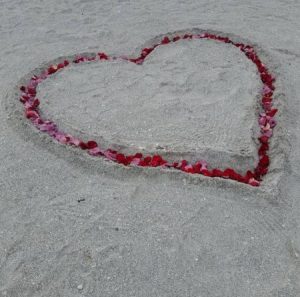 rose petal heart in sand