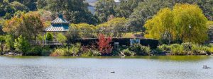 lake ella and fred drake park Tallahassee