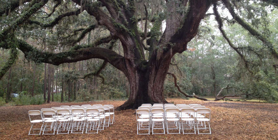 wedding at a tallahassee state park