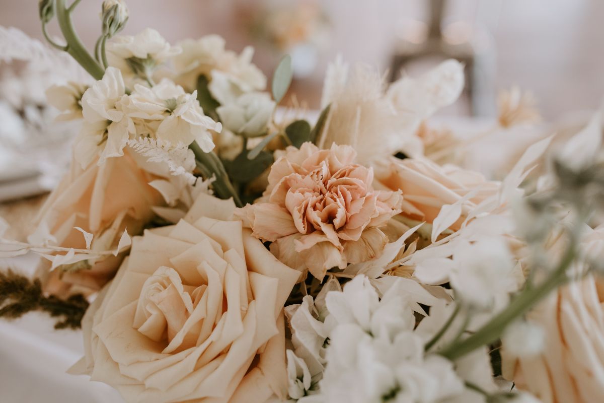 elopement Clearwater, FL