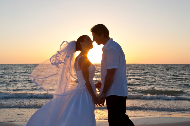 getting married at philippe park safety harbor