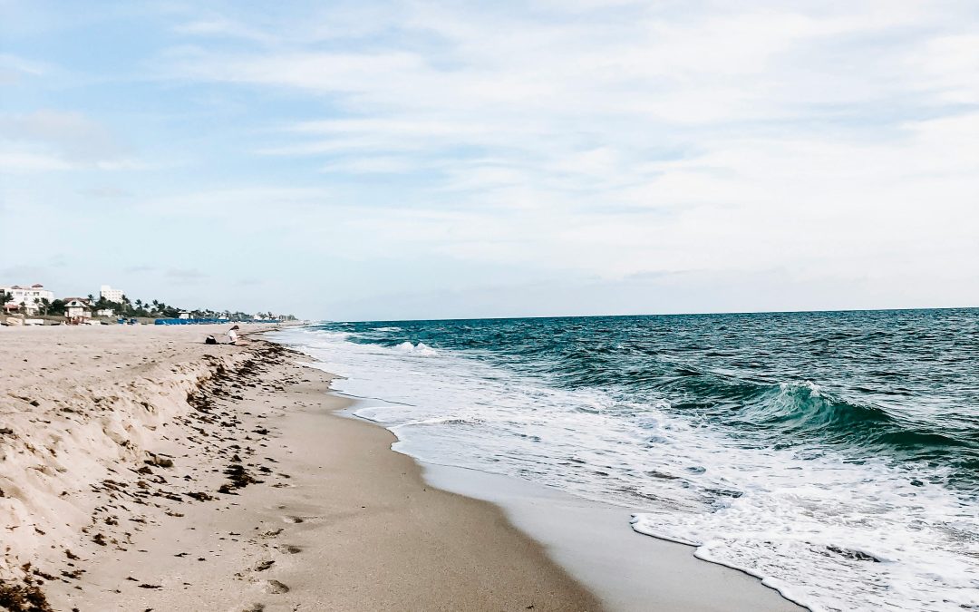 How to Plan a Wedding Without Stress (Especially in Florida This Fall)